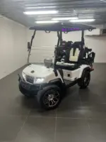2024 Paladin Evolution D5 golf cart
