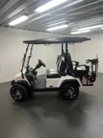 2024 Paladin Evolution D5 golf cart - Image 2