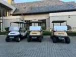 2008 Club Car Precedent 2 Seater Golf Cart - Image 2