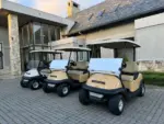 2008 Club Car Precedent 2 Seater Golf Cart