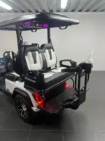 2024 Paladin Evolution D5 golf cart - Image 3